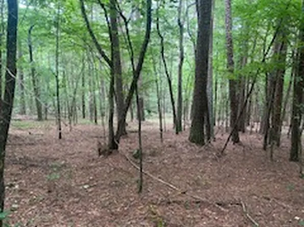 County Road 5211, Oark, AR 72852