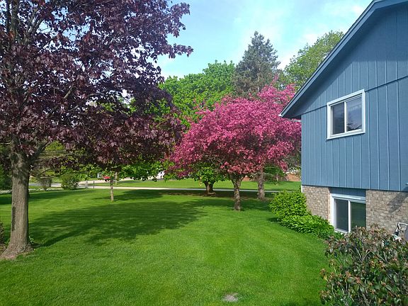 View from the deck
