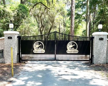 19 Black Island Rd SE, Darien, GA, 31305