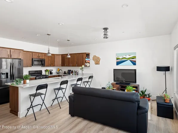 111 Village Ln, Carbondale, CO 81623