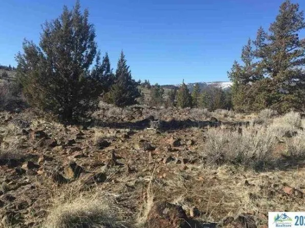 00O Cheney Creek Rd, Susanville, CA 96130