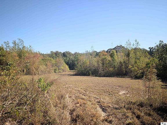 2nd image of 0 Richard Coker Rd