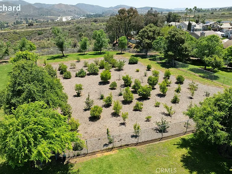27166 Lasso Way — Photo 42