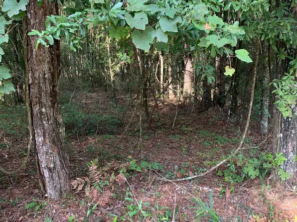 218th Ter, Live Oak, FL 32060