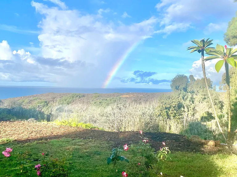 Backyard view overlooking Black's Beach