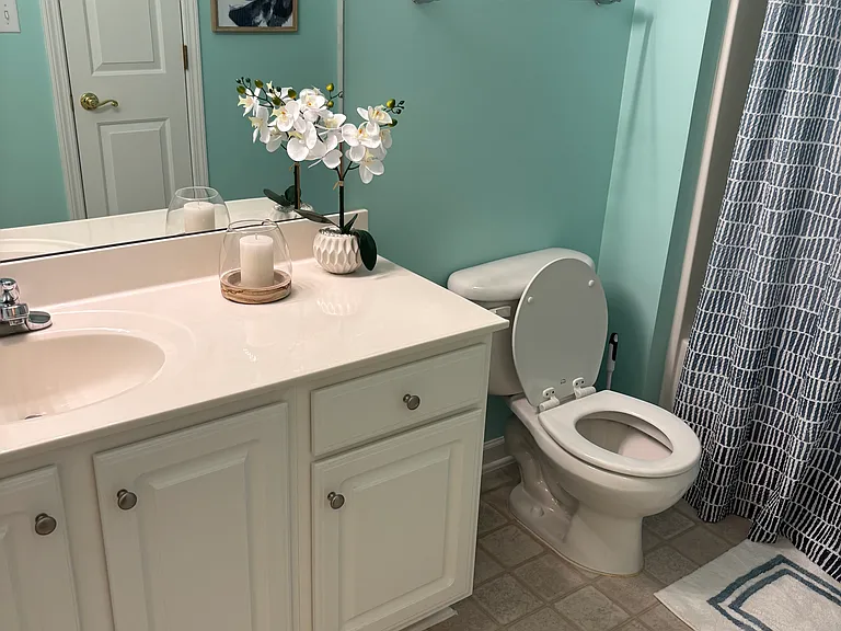 guest bathroom