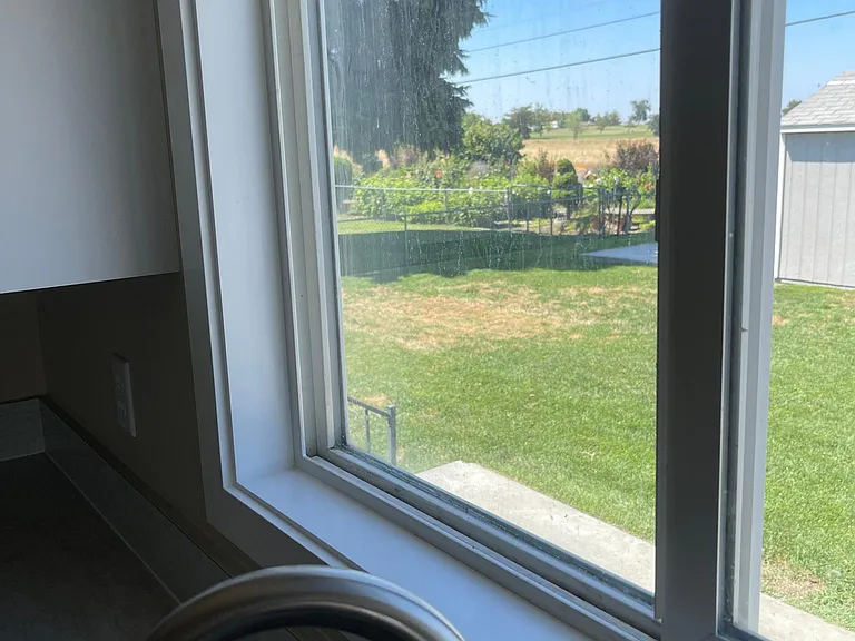 Backyard view from kitchen sink