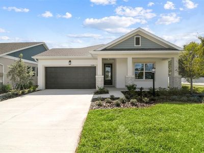 11309 Hardwood Hammock Ln, Riverview, FL, 33569