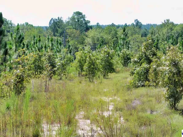 Wire Rd #3, Patrick, SC 29584