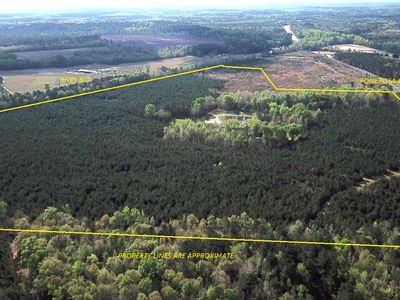 305 Ponderosa Rd, Saint Matthews, SC, 29135