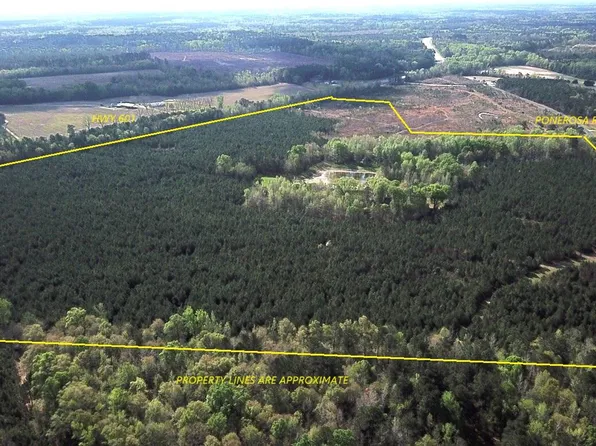 305 Ponderosa Rd, Saint Matthews, SC 29135