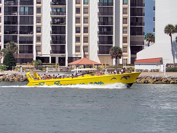 Dolphin Tours