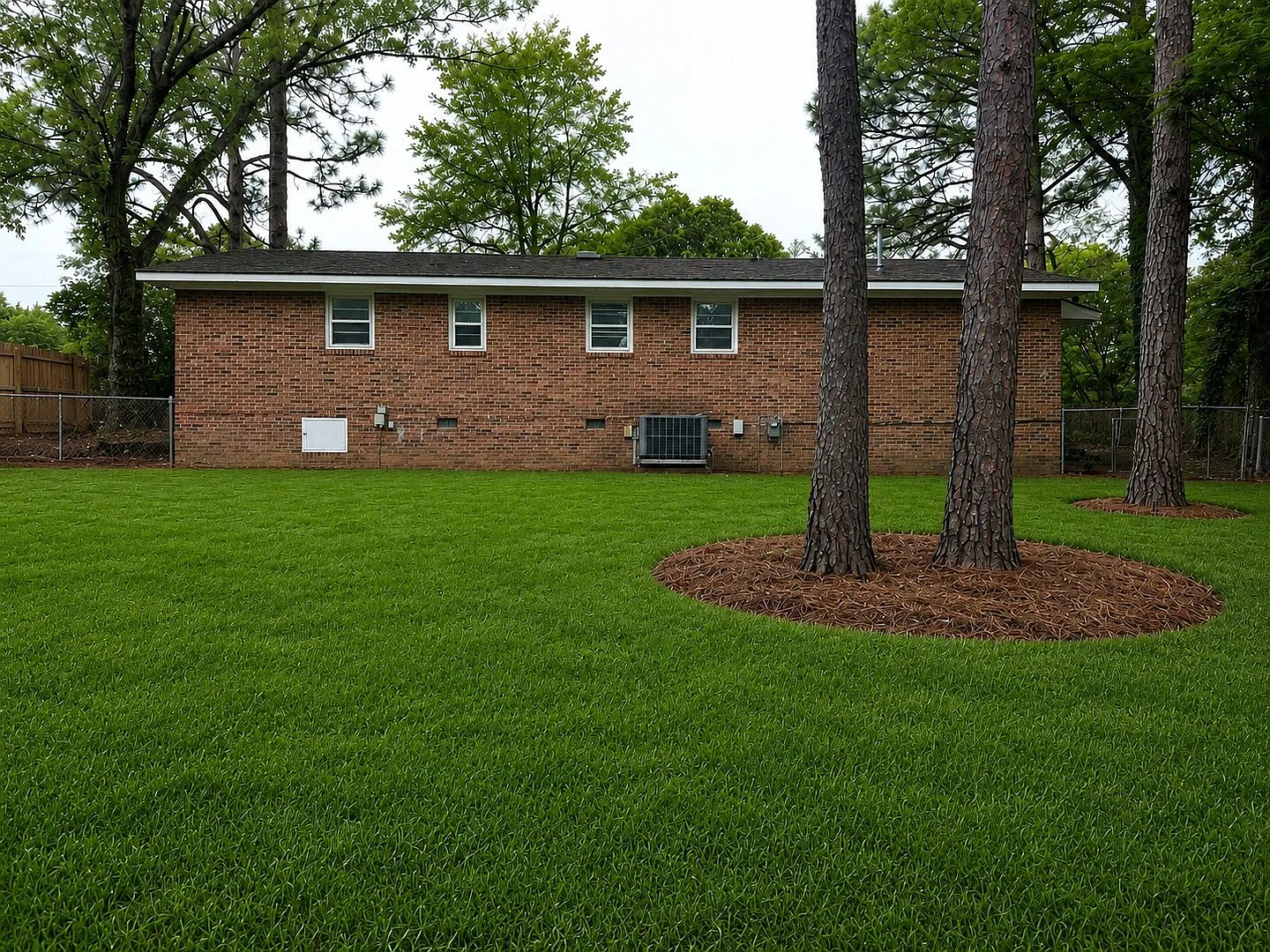 1404 Hibiscus — Photo 2