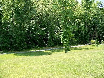Backyard backs up to woods