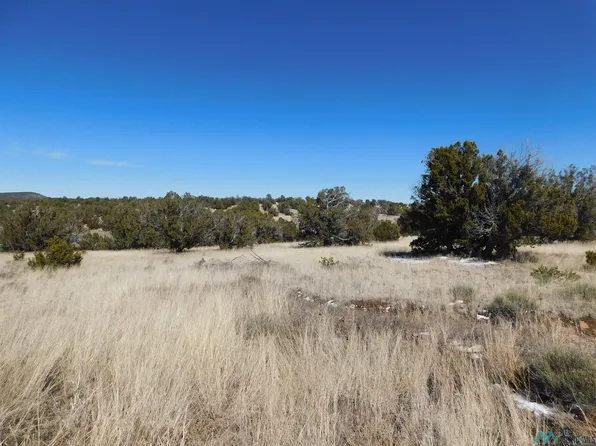 41 Bridle Path, Quemado, NM 87829