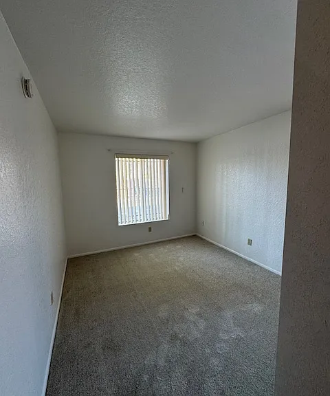 264 E Scheibe Way — Photo 9