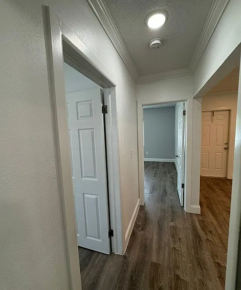 1737 Liberty St — Photo 6