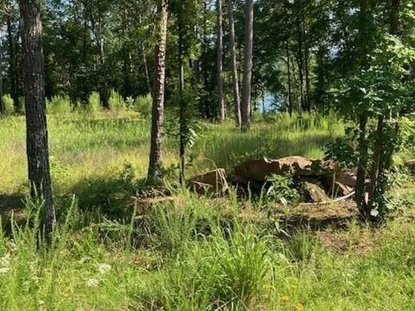 (undisclosed Address), Clinton, AR 72031