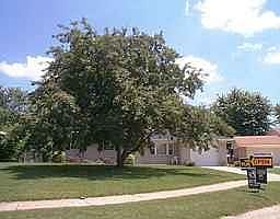 1st image of 2615 N Neptune Ct