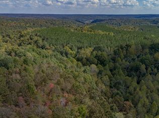 1353 Copperas Branch Rd, Centerville, TN 37033