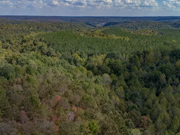 1353 Copperas Branch Rd, Centerville, TN 37033