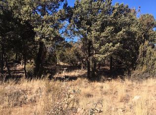 3330 Apache Dr, Overgaard, AZ 85933