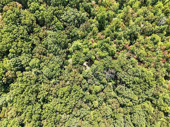 5th image of 0 A 2 Fern Gully Way #A-2