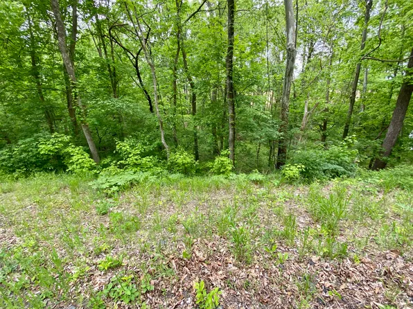 0 Olaton Rd, Caneyville, KY 42721