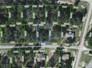 3378 Gossamer Ave, Lake Placid, FL 33852