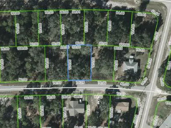 3378 Gossamer Ave, Lake Placid, FL 33852