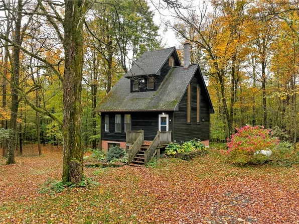 331 Downey Rd, Brooktondale, NY 14817