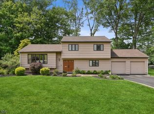 6 Thurston Dr, Livingston, NJ 07039