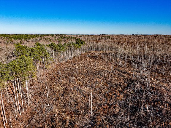 2nd image of 0 County Road 3480