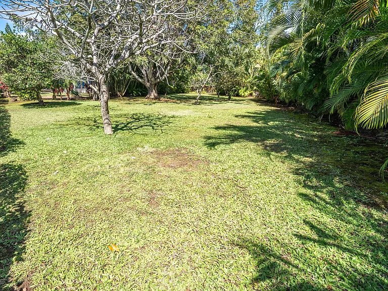 342 Cook Pine Dr — Photo 41