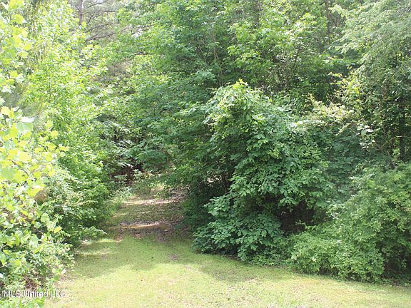 2nd image of 590 Richmond Rd