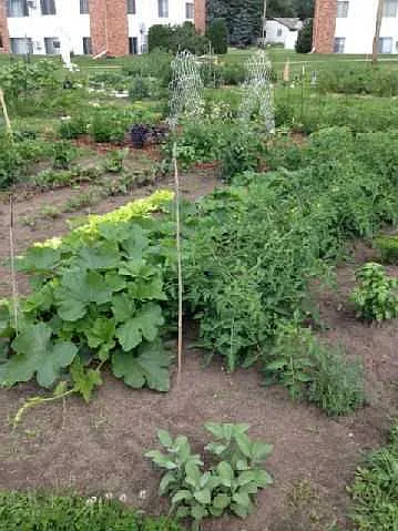 Community Garden