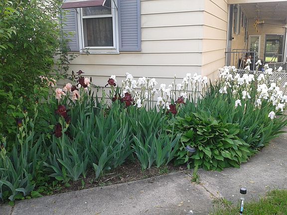 4th image of 235 E 8th St
