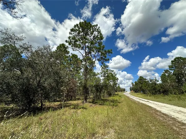 SE 134th Ct #4, Dunnellon, FL 34431
