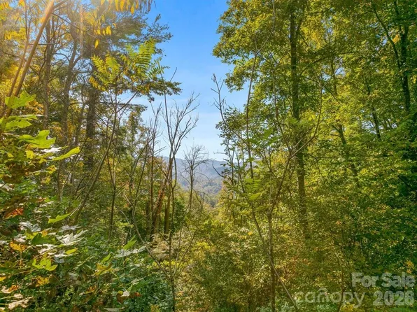 Laurel Hts #35, Marshall, NC 28753