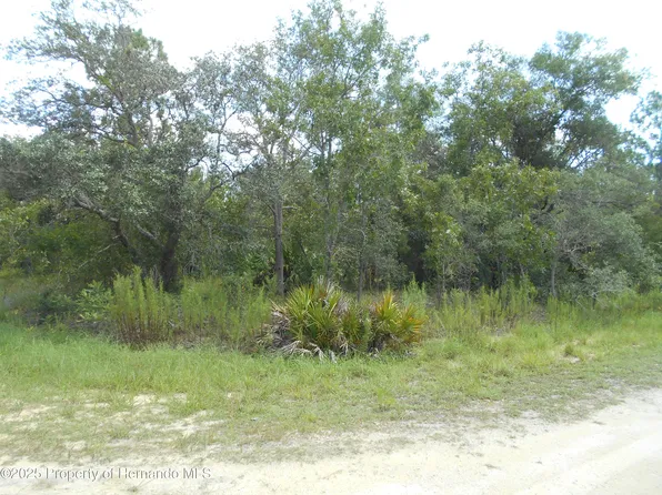 LOT 9 Gold Crest Rd, Brooksville, FL 34614