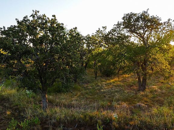 Tyra West Ranch - Land for Sale in Young County