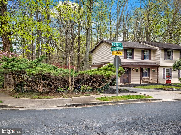 3rd image of 1301 Old Pine Ct