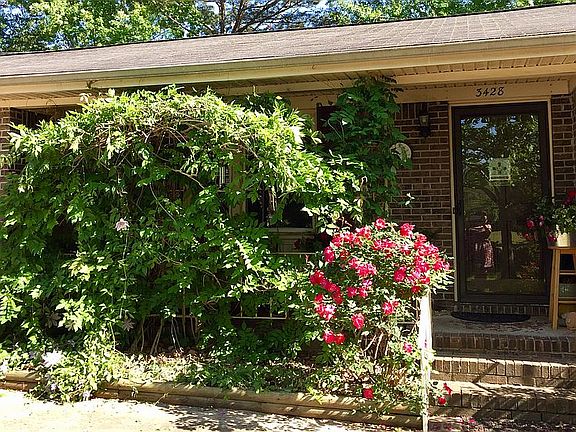 Wisterias Screens the Porch