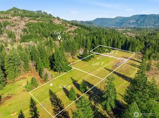 Short Plat 3784062, Ariel, WA 98603