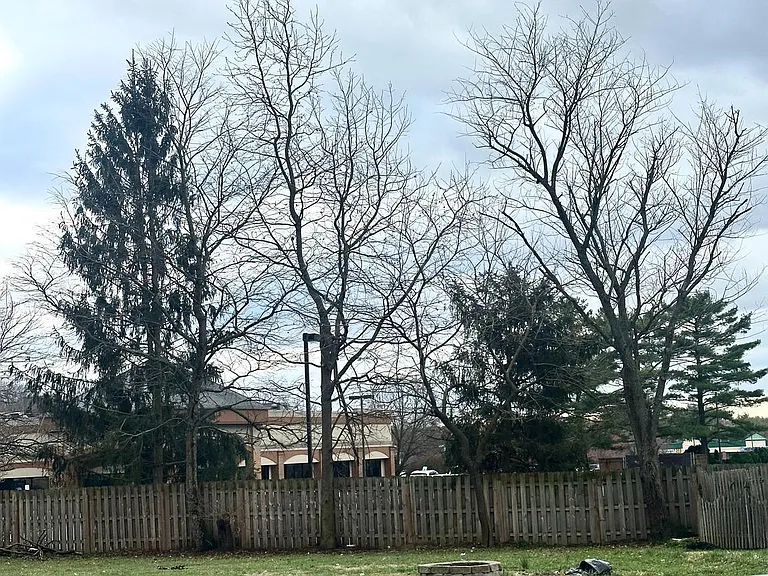 109 Franklin Dr — Photo 10