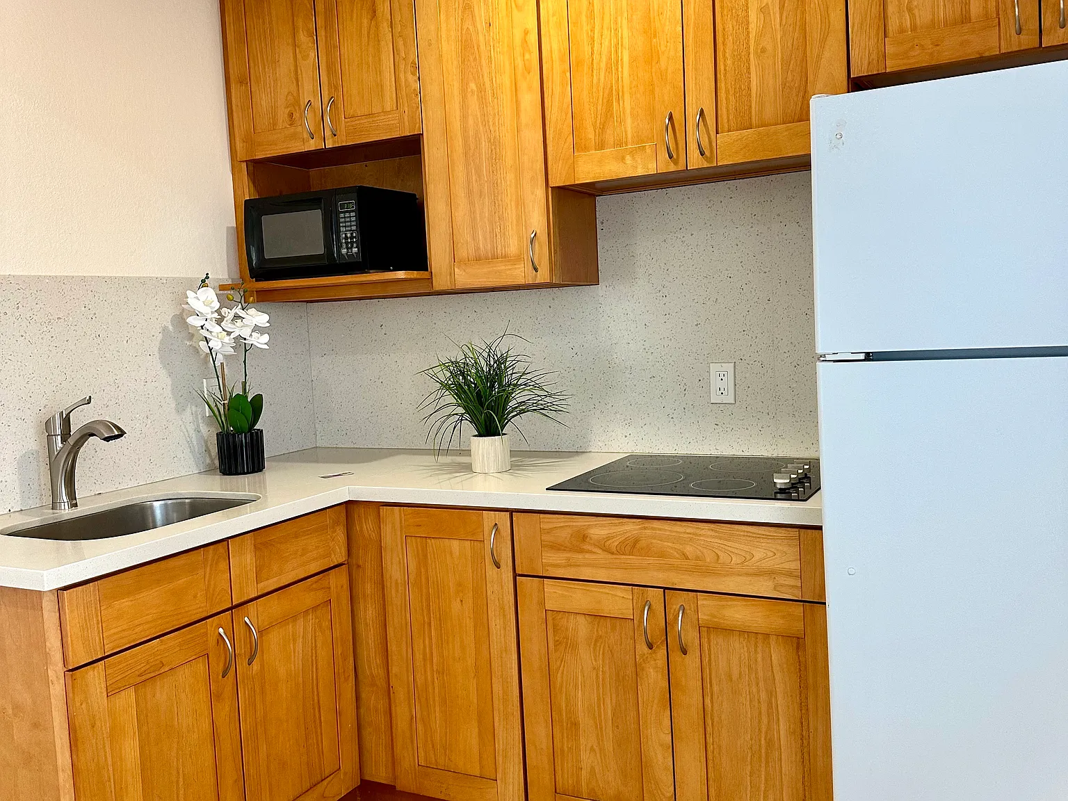 3074B Jo Ann Dr — Photo 3