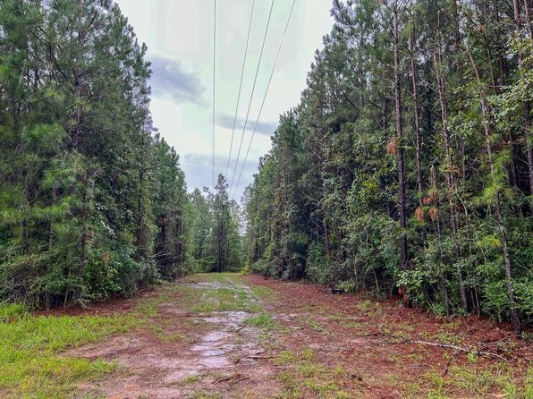 6 Sunflower Rd, Livingston, TX 77351