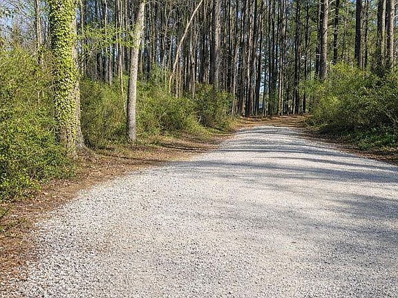 2nd image of 207 Baldy Murphy Rd