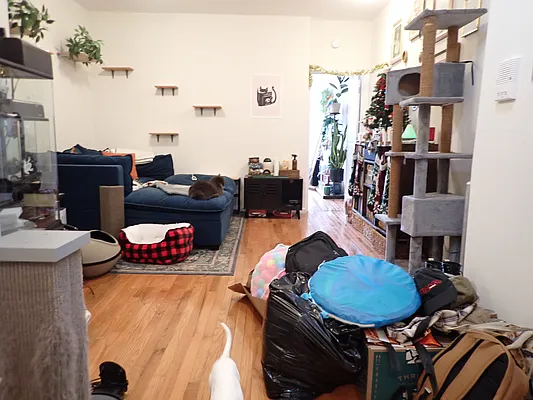 Rented by Hakeem Shahid, LREB | media 7