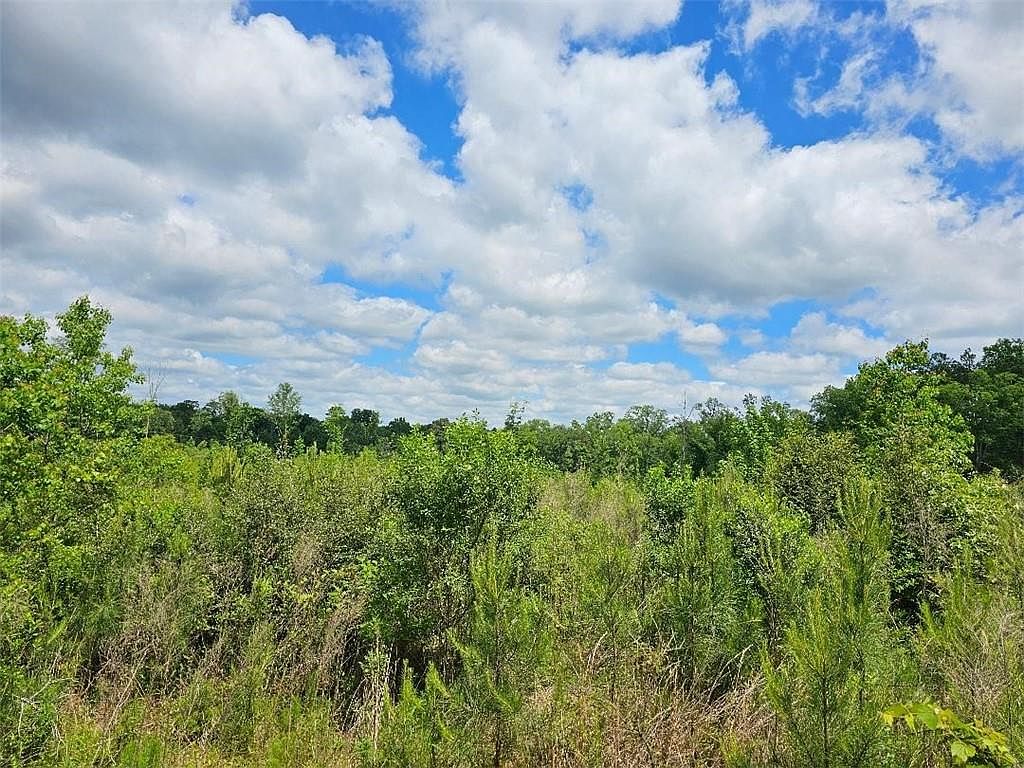 Cypress Branch Rd #0, Chatham, LA 71226 | Zillow